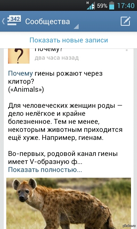 ������� �������...