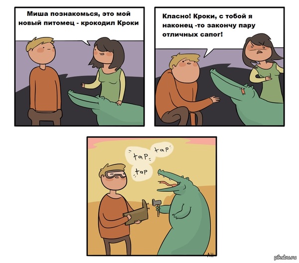 Новый питомец | Пикабу