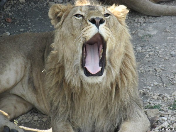 � ����� ����� ��� �����?)