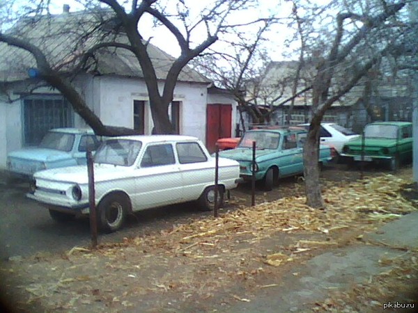 Collector probably - My, Zaporozhets, Collection, Yellow waters, Auto