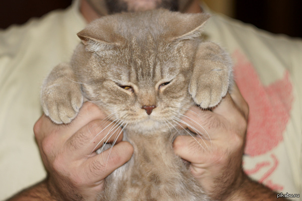 ����������� � �������...