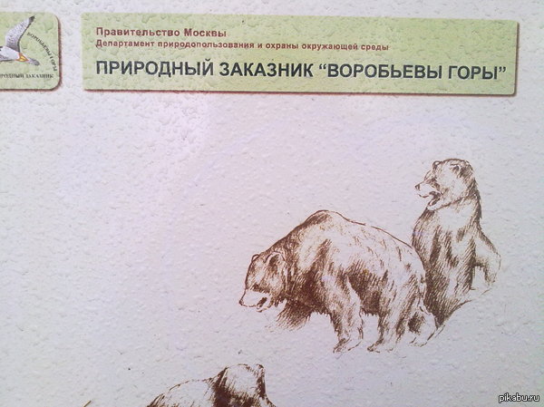 Даже не знаю как назвать...