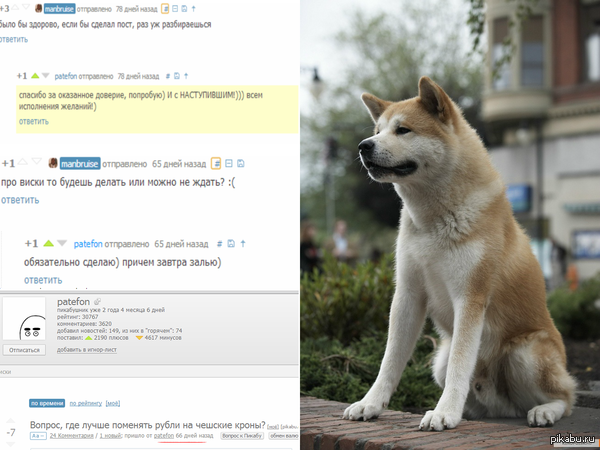 � � �� ���...