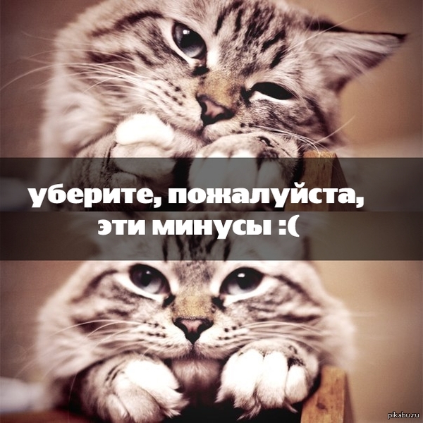 ������ ������ ���!) �� ����� ���� �� ����..