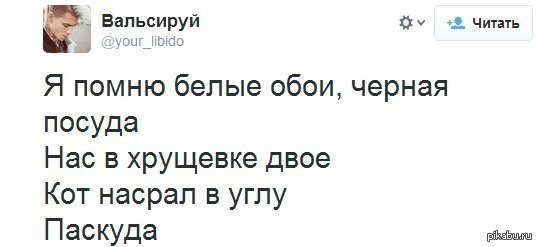 Черные обои белая посуда текст. Я помню белые обои черная посуда текст. Белые обои черная посуда. Я помню белые обои. Слова песни я помню белые обои черная посуда.