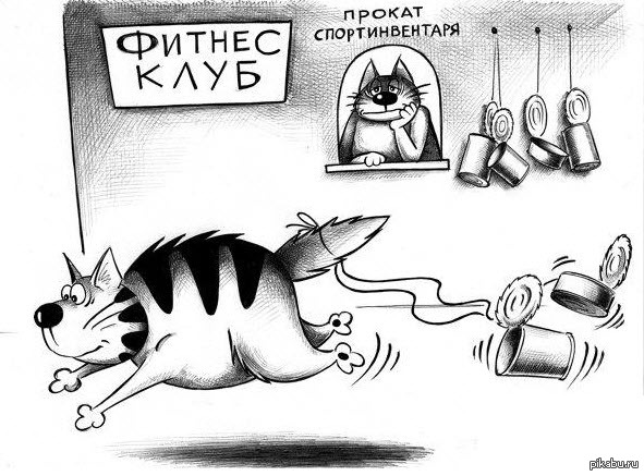 Фитнес клуб