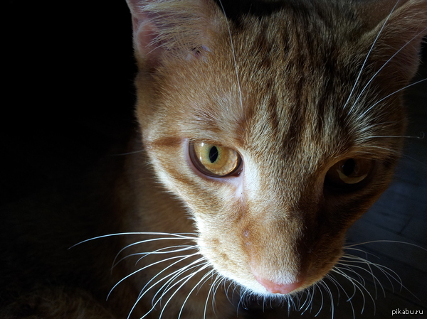 ����� �������!