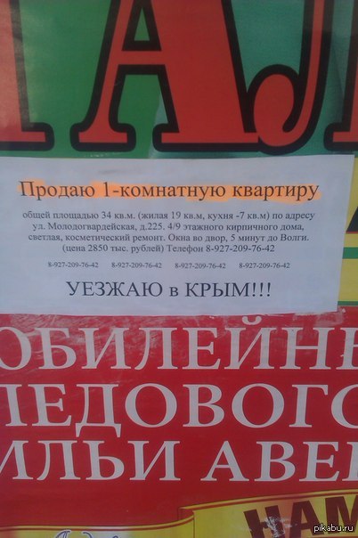 Радость | Пикабу