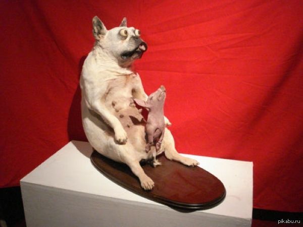 ��� �� Ebay