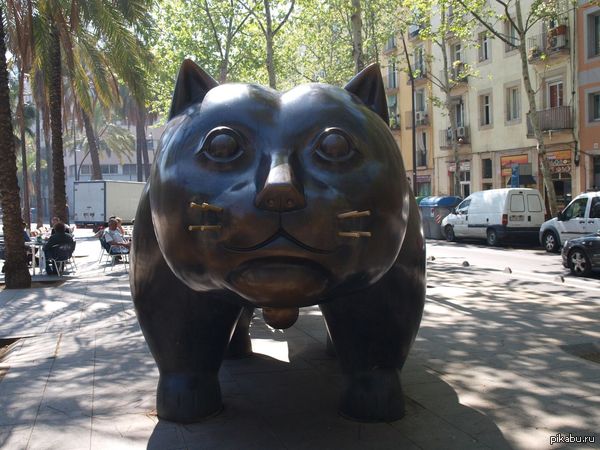 ���� ���������� ������!