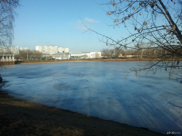 ���� ������