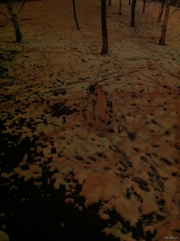 ����� ��� �� ����