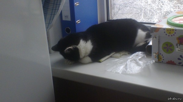 �������� ����� �������� ���������