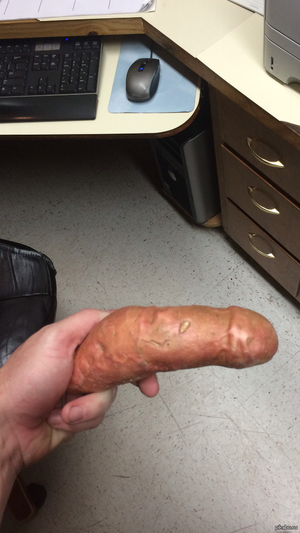 Too real for a regular potato - NSFW, Images, Potato, Funny, Vegetables, It seemed