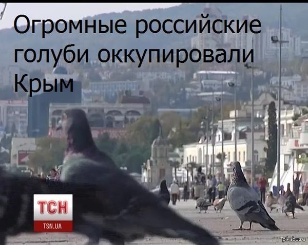 Срочные новости!