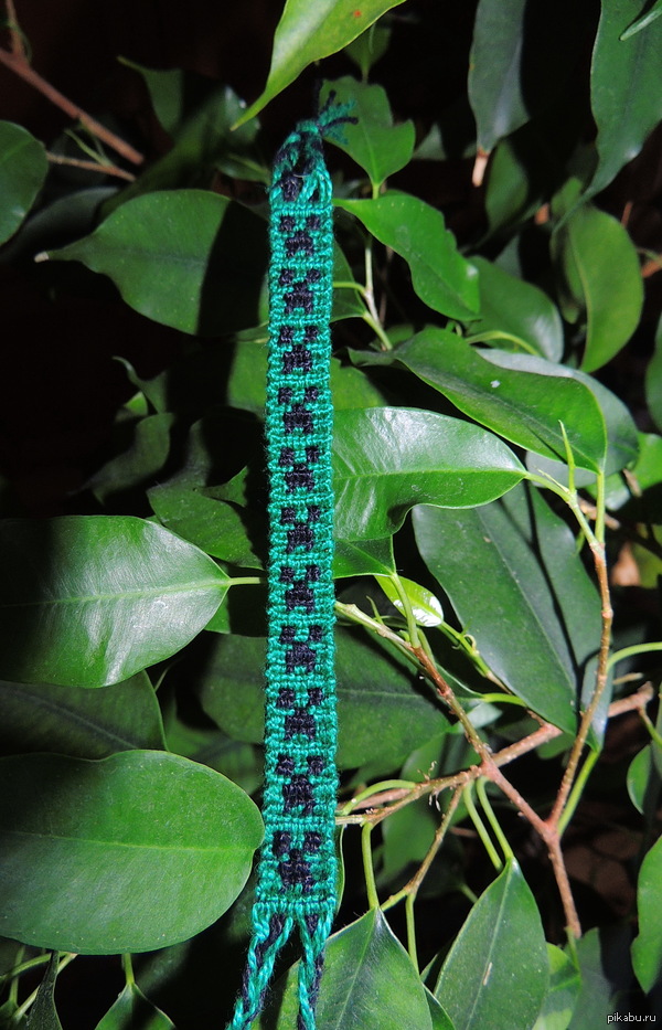 ��������� ������� ����� ��������