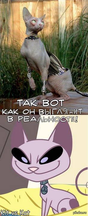 ��� ��� ��� �� �� �������� � ����������!