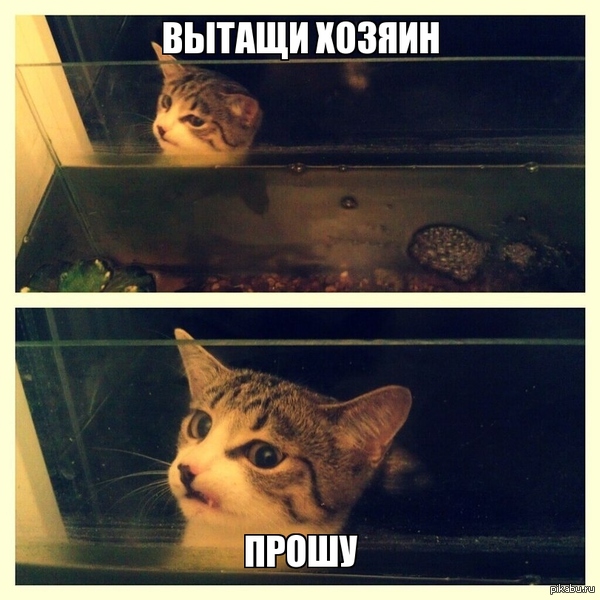 ����� �������� ����� ����� � ����������