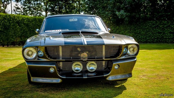 Ох этот взгляд...