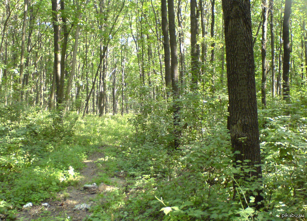 ����� �� ������� ���...