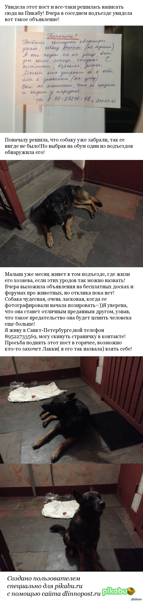 � ����� �� ���� � ����� ��������� �������� http://pikabu.ru/story/_2110047