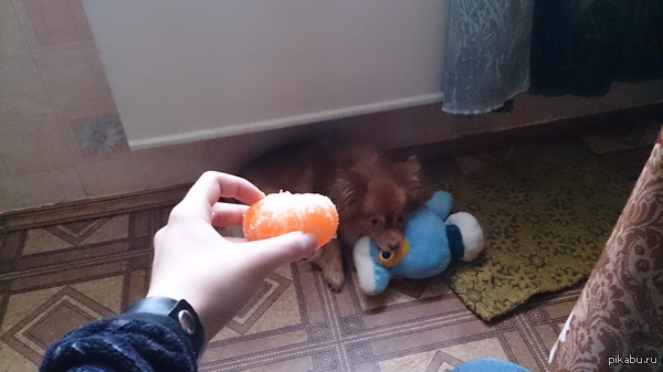 ����, ������!