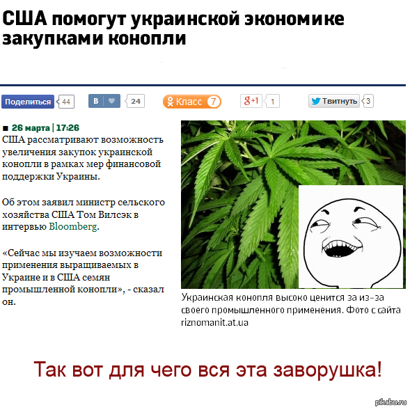  !    http://business.vesti.ua/44472-ssha-pomogut-ukrainskoj-jekonomike-zakupkami-konopli