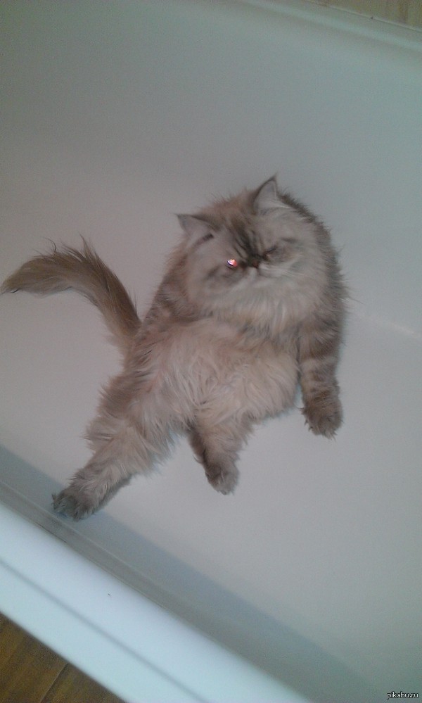 ��� ����� �������� ���, ��� �� ����� ��������