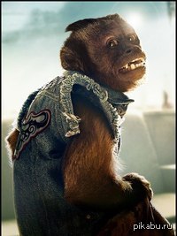 ������������� ���������� ����� ��� ������ � ���� ������ ����� �����