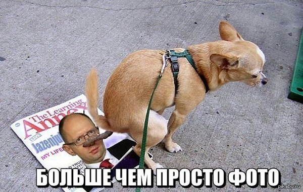 Немножко черноты