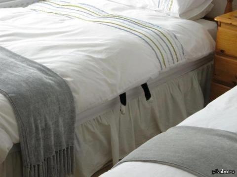 Найди кота!