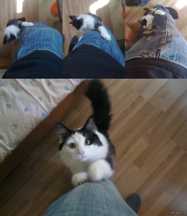 �������� �������� ��������.