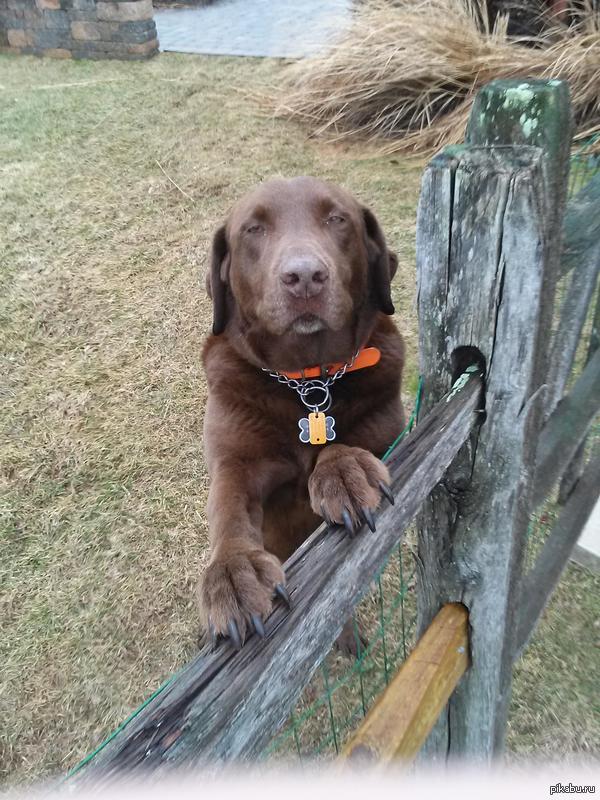 Братан, будь человеком, трубы горят!