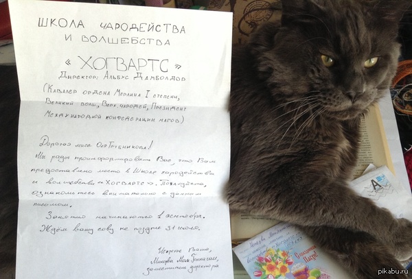 в почтовом ящике лежало ОНО!!! Я знала! Я верила!!!! :-))))))))))))))