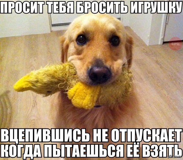      ,  )
