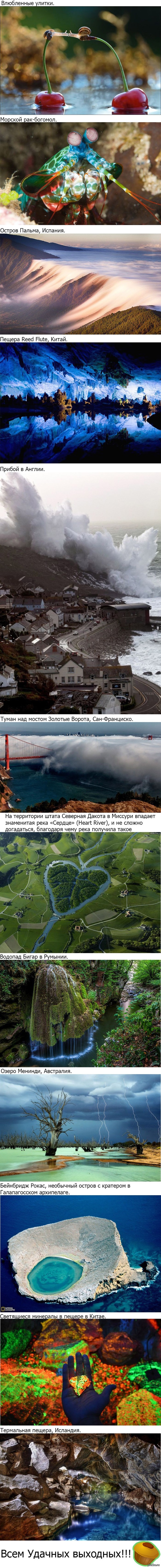 Несколько удивительных фото без фотошопа