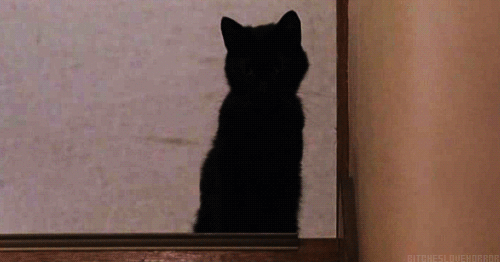 Уходящий Кот Картинки