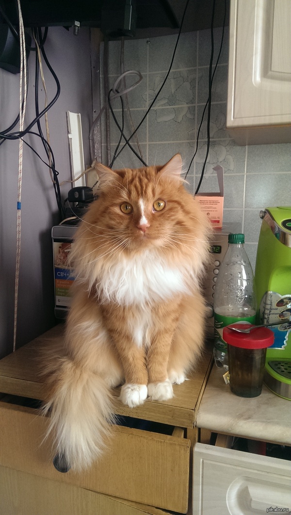 ��� �� ����� ����� �������?!)