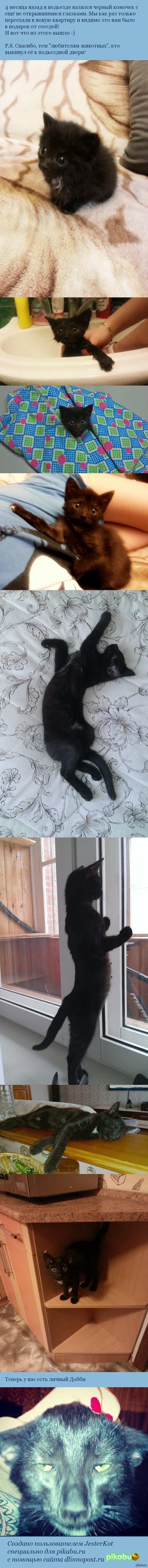 ���, ���� � �����!