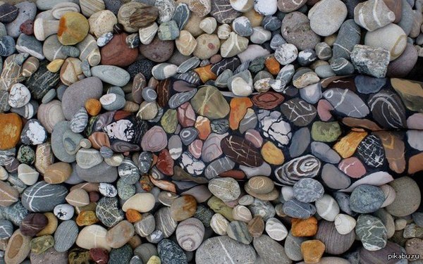 Найди девушку