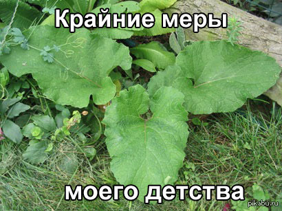 Потому-что если зайду, мамка не выпустит..