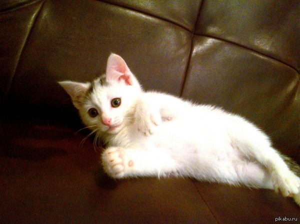 ���� ��������, ����� ���� ������!