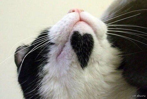 ��������;3