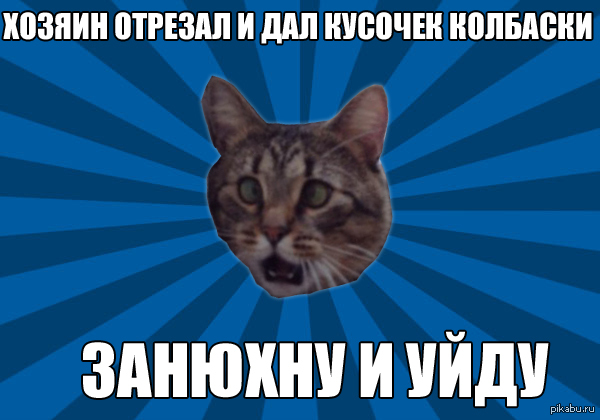      !     <a href="http://pikabu.ru/story/moy_kot_rozhden_byit_memom__2136548">http://pikabu.ru/story/_2136548</a>