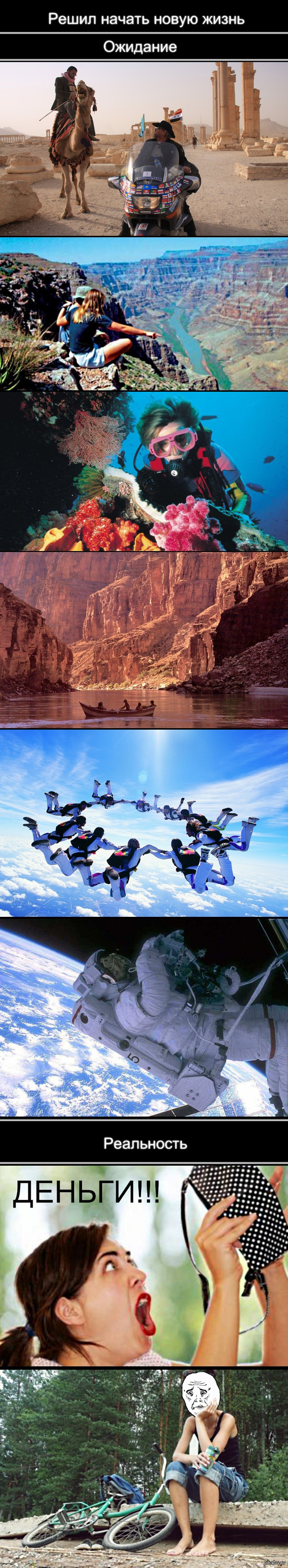 Новая жизнь