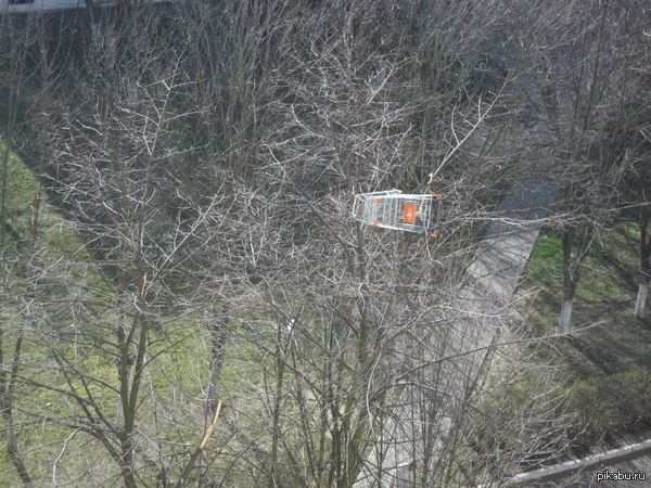 ������ ��������, ������ �� ������ �����:)