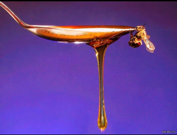 ������ ����� ��� � ��� ��������� ������ ���� ����� 12 ����.