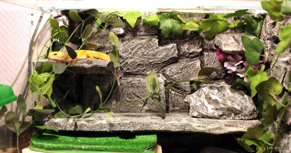 Декорации для террариумов