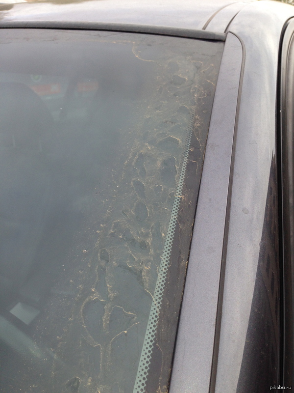 А у нас в Германии: Мелкий песок из Сахары пролился дождем