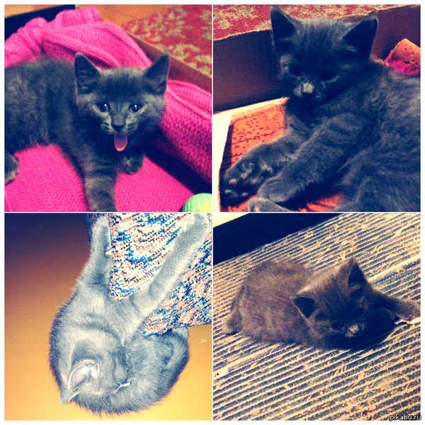 ��,������, �� ������ ������� ����������?